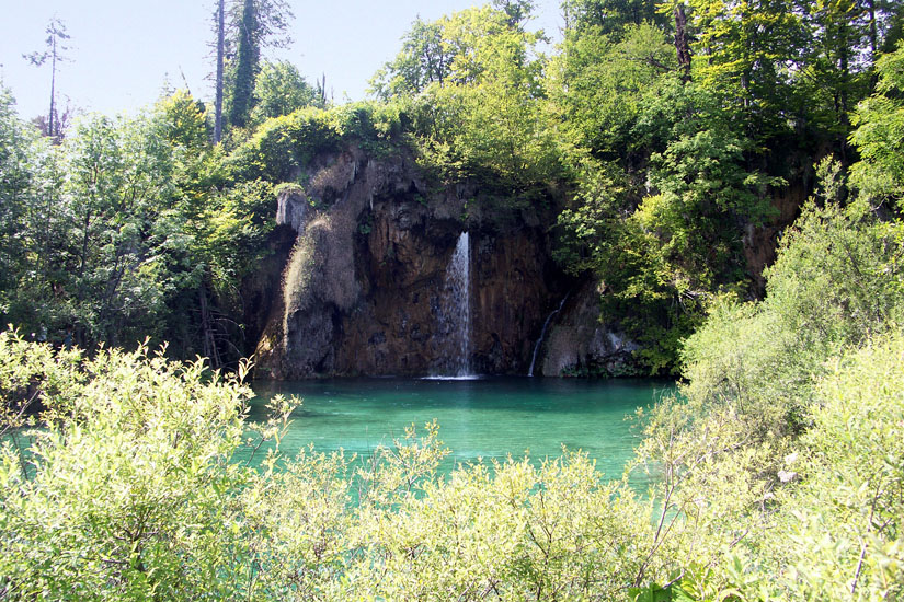 Obraz 109